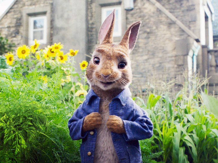 Review film : “Peter Rabbit” – Pertarungan Keluarga Kelinci