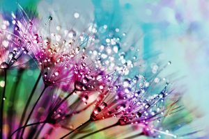 Daftar Website Penyedia Palet Warna